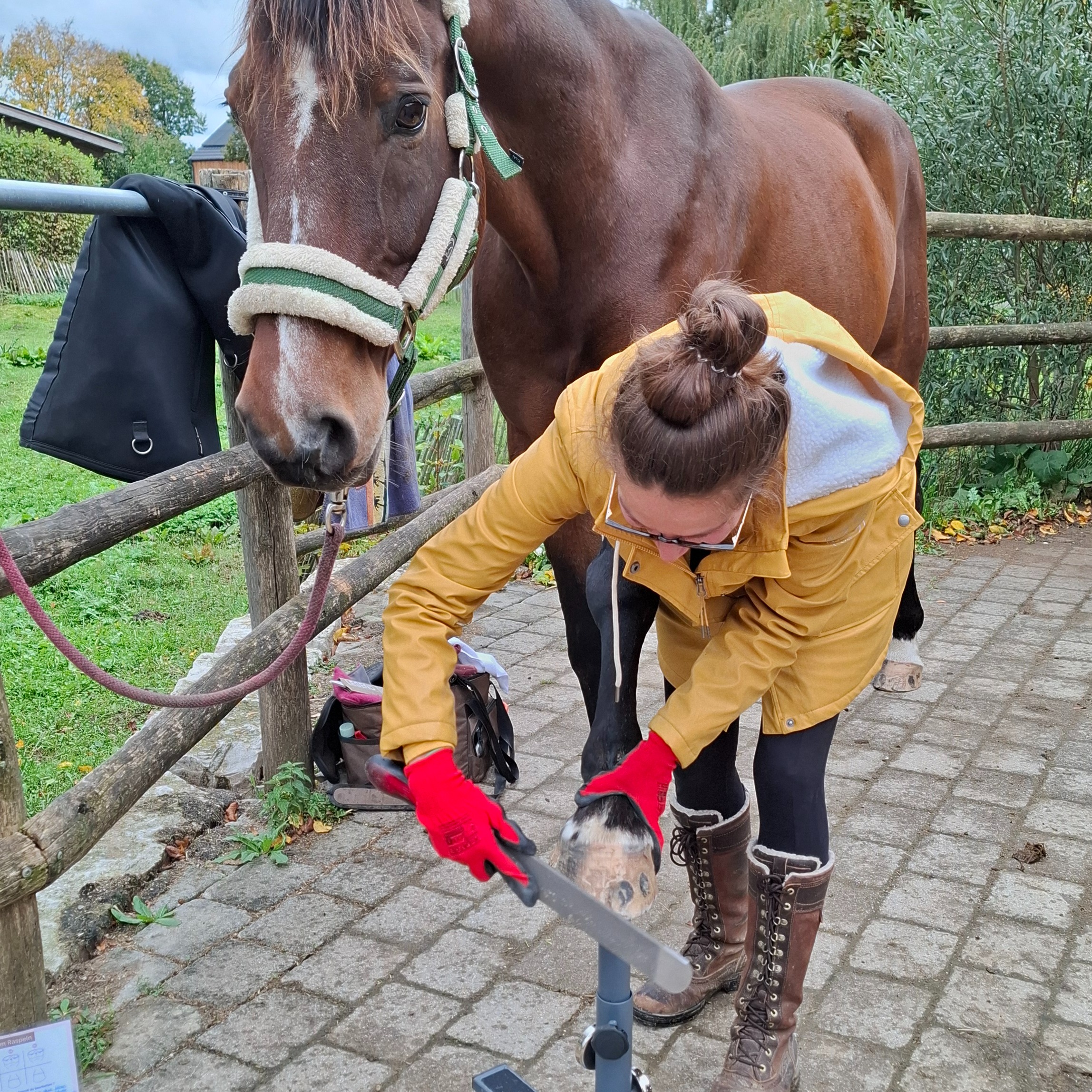 Raspel Coaching Hufharmonie