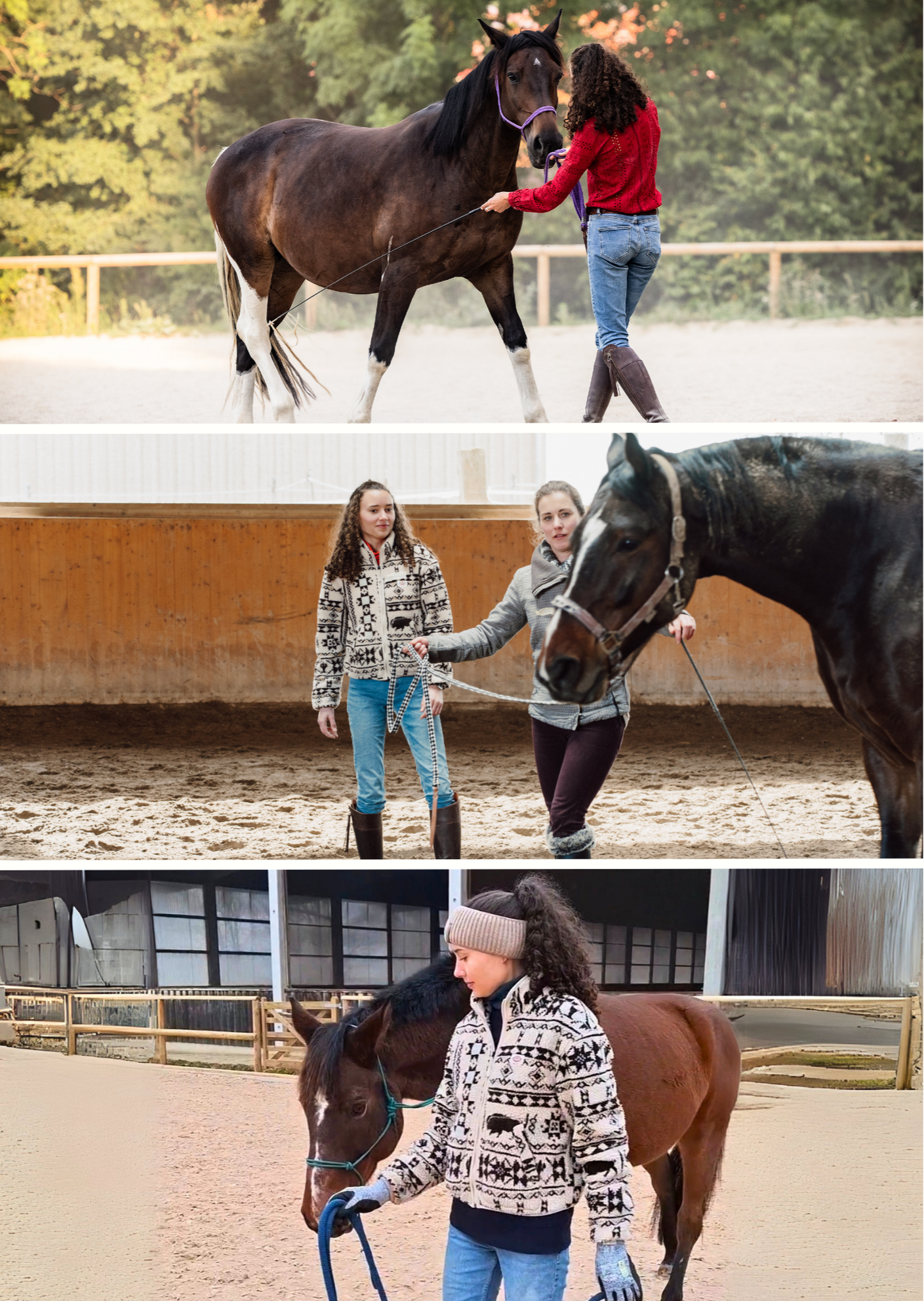 Körpersprache und Kommunikation mit dem Pferd, Pferd & Mensch Coaching