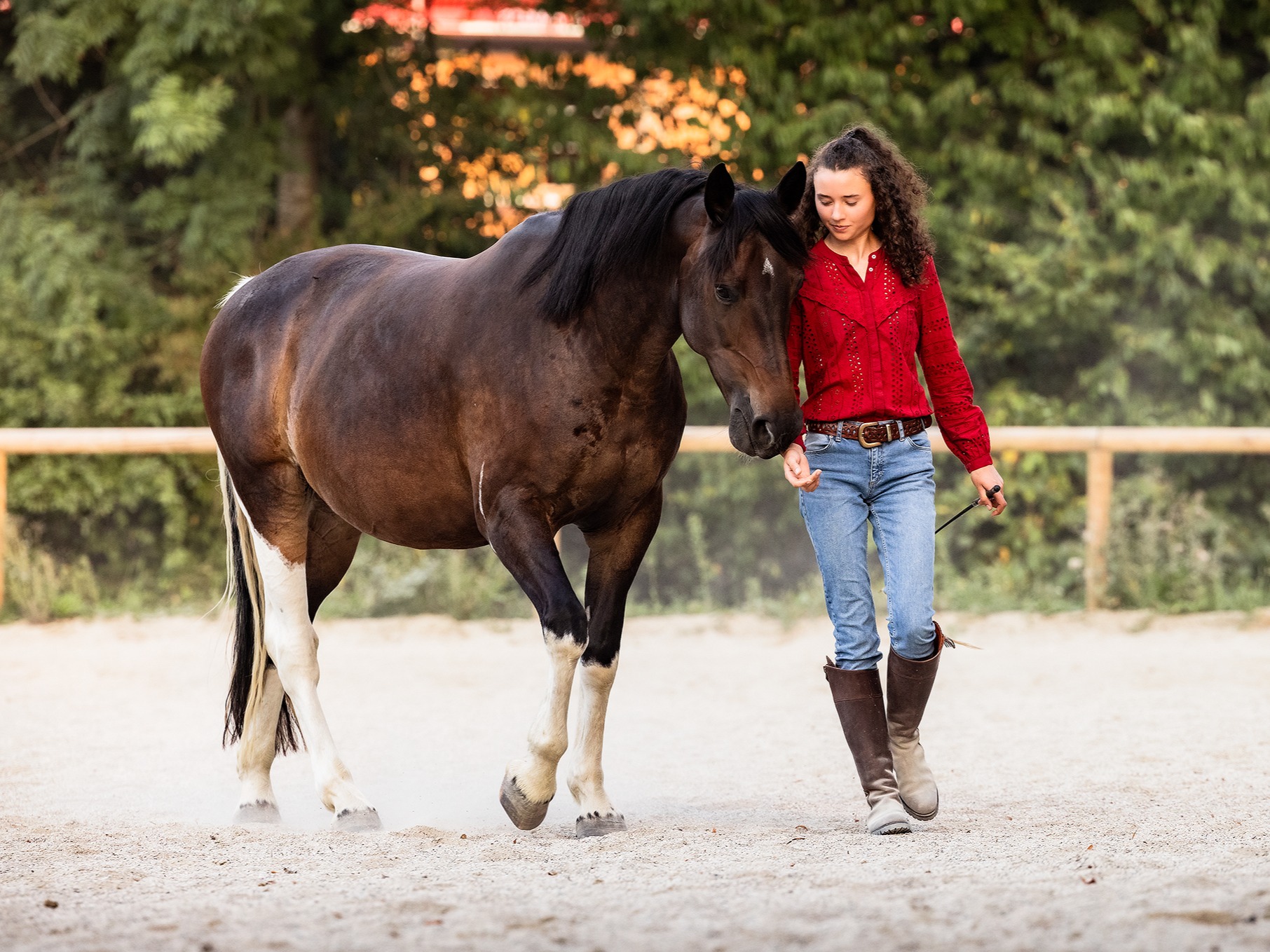 Bodenarbeit und Freiarbeit