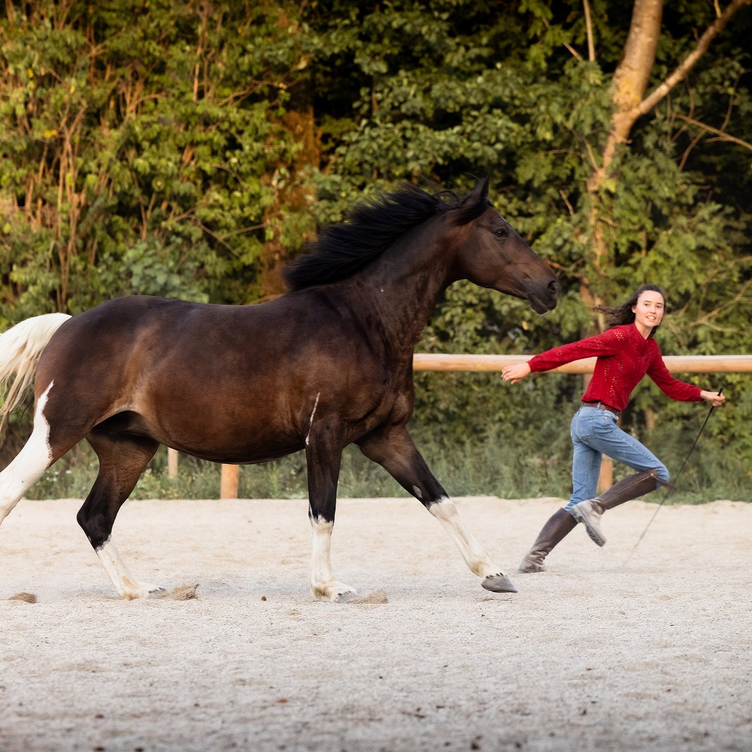 Freiarbeit, Bodenarbeit