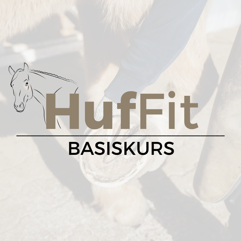 Freiarbeit, Bodenarbeit