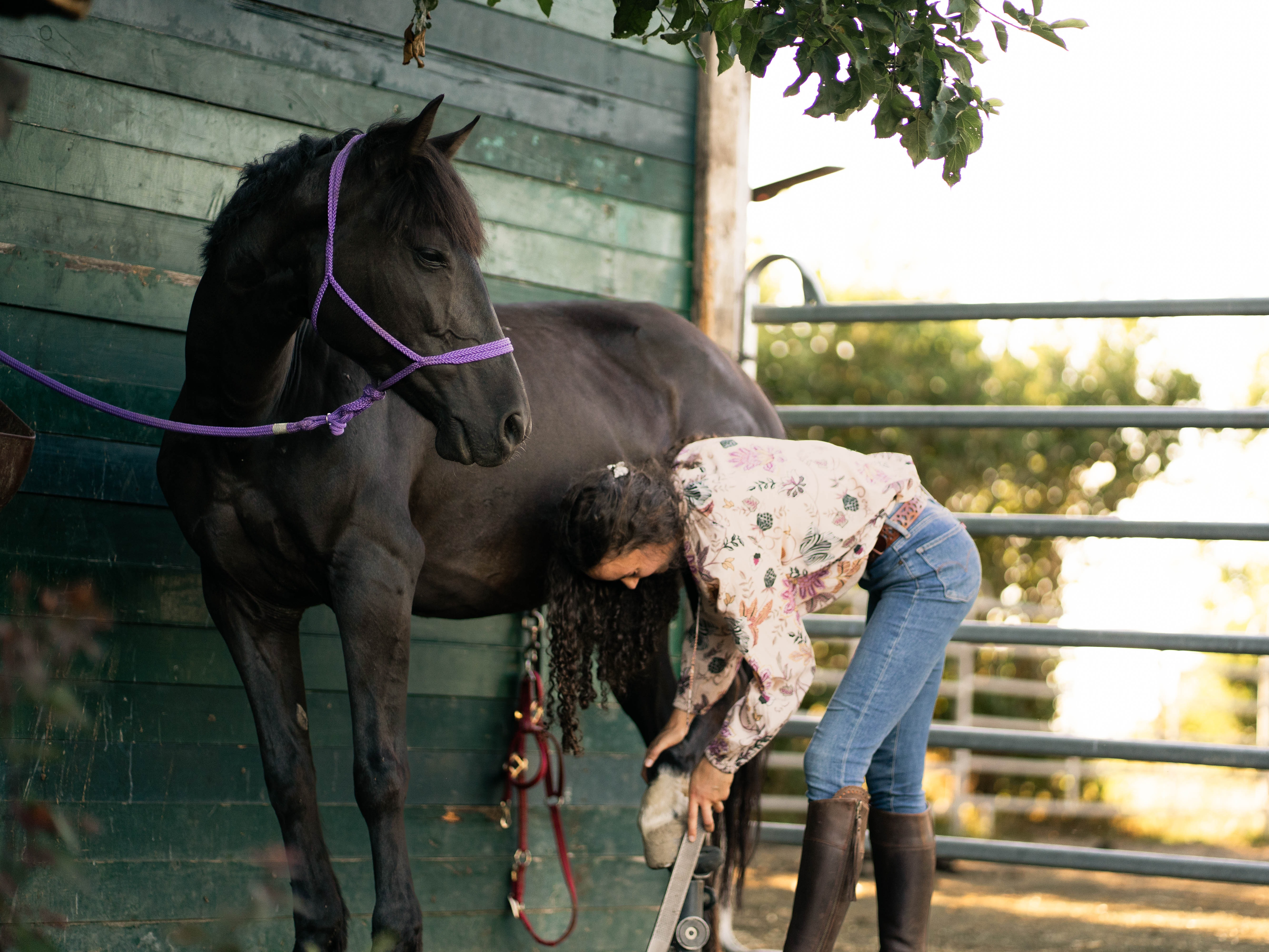 Umgebungstraining, Hufe bearbeiten