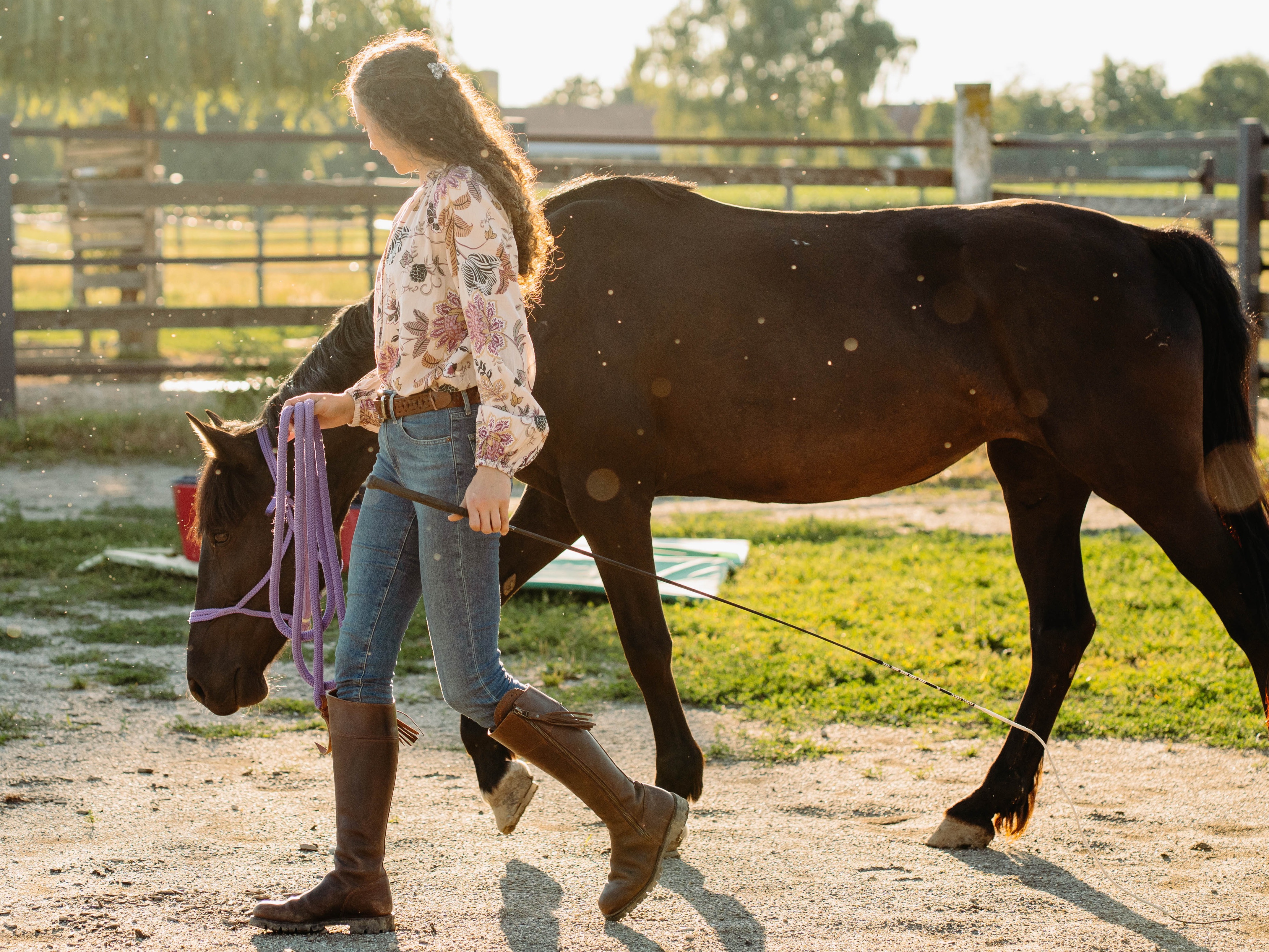 Problempferdetraining