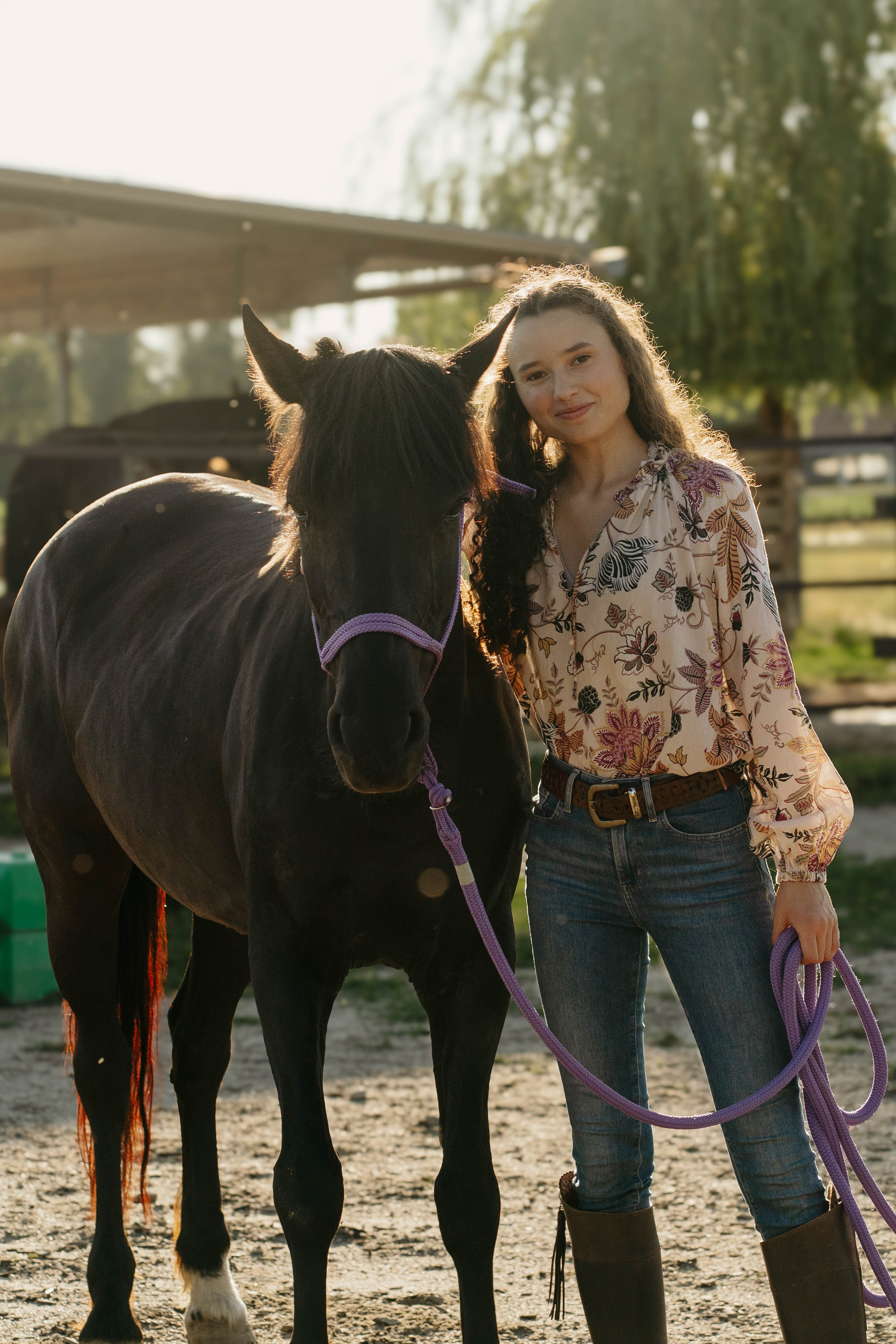 Bodenarbeit, Jungpferdetraining