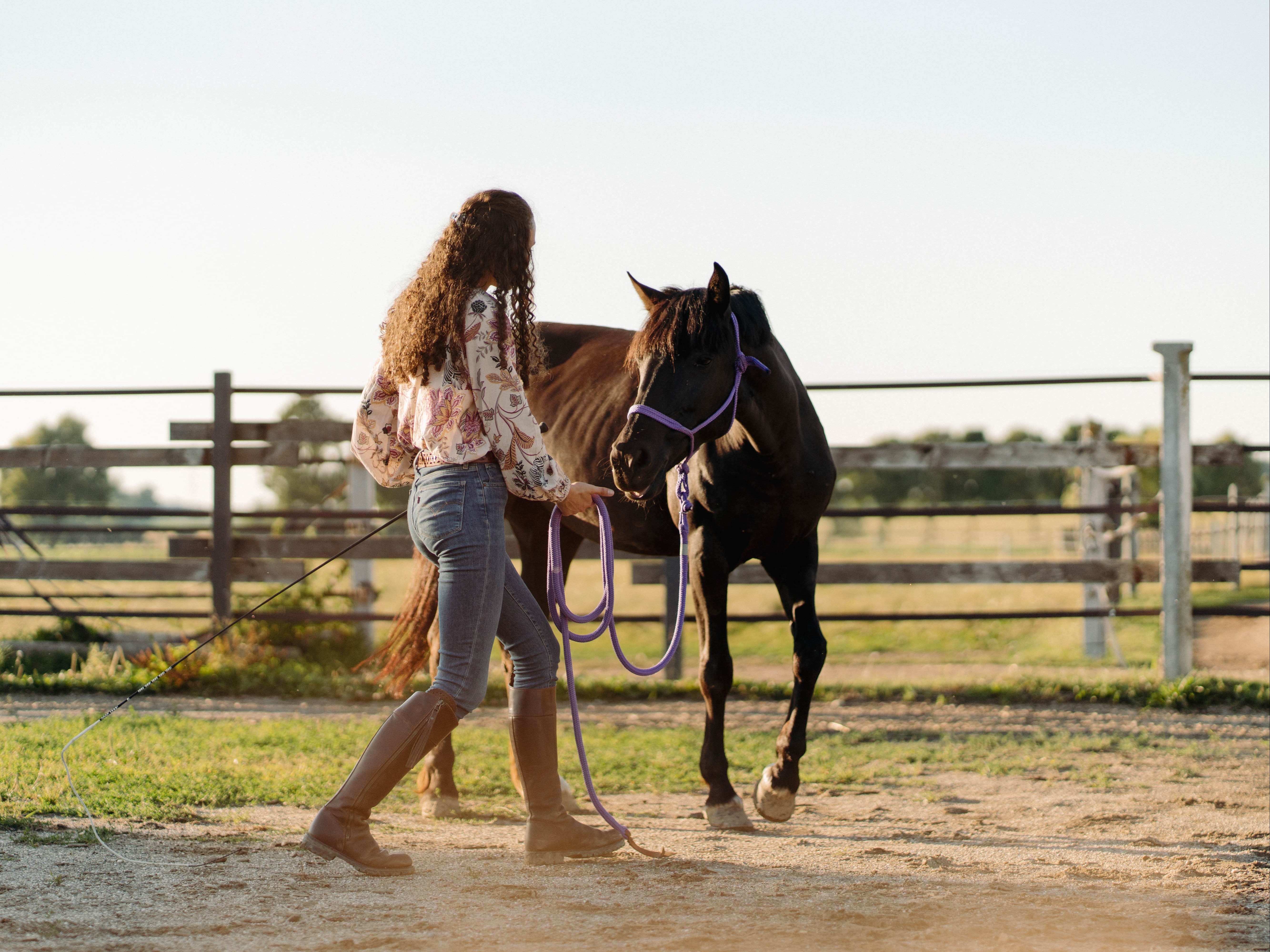 Ganzheitliches Pferdetraining
