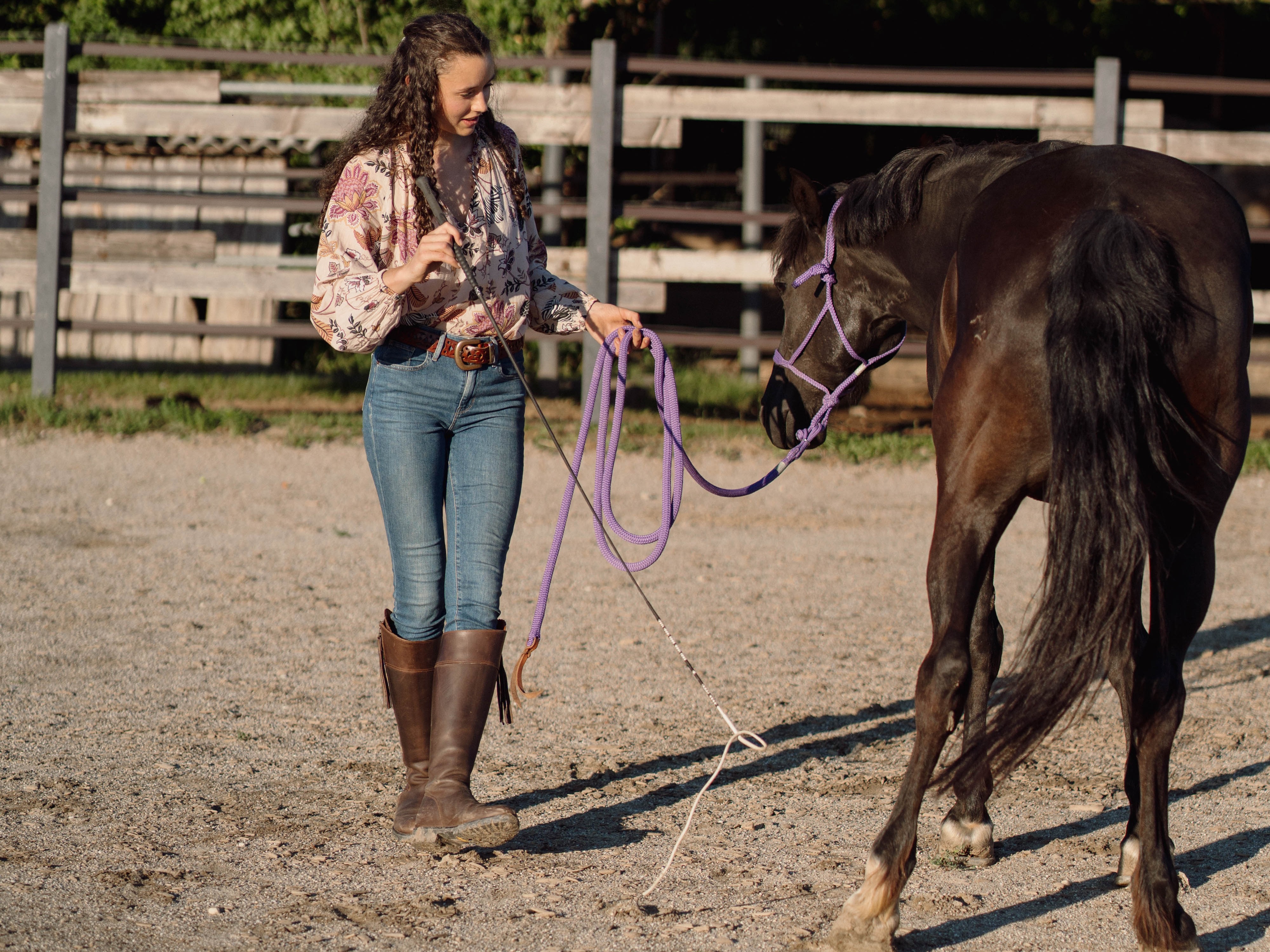 Hinterhand weichen, Seitengänge
