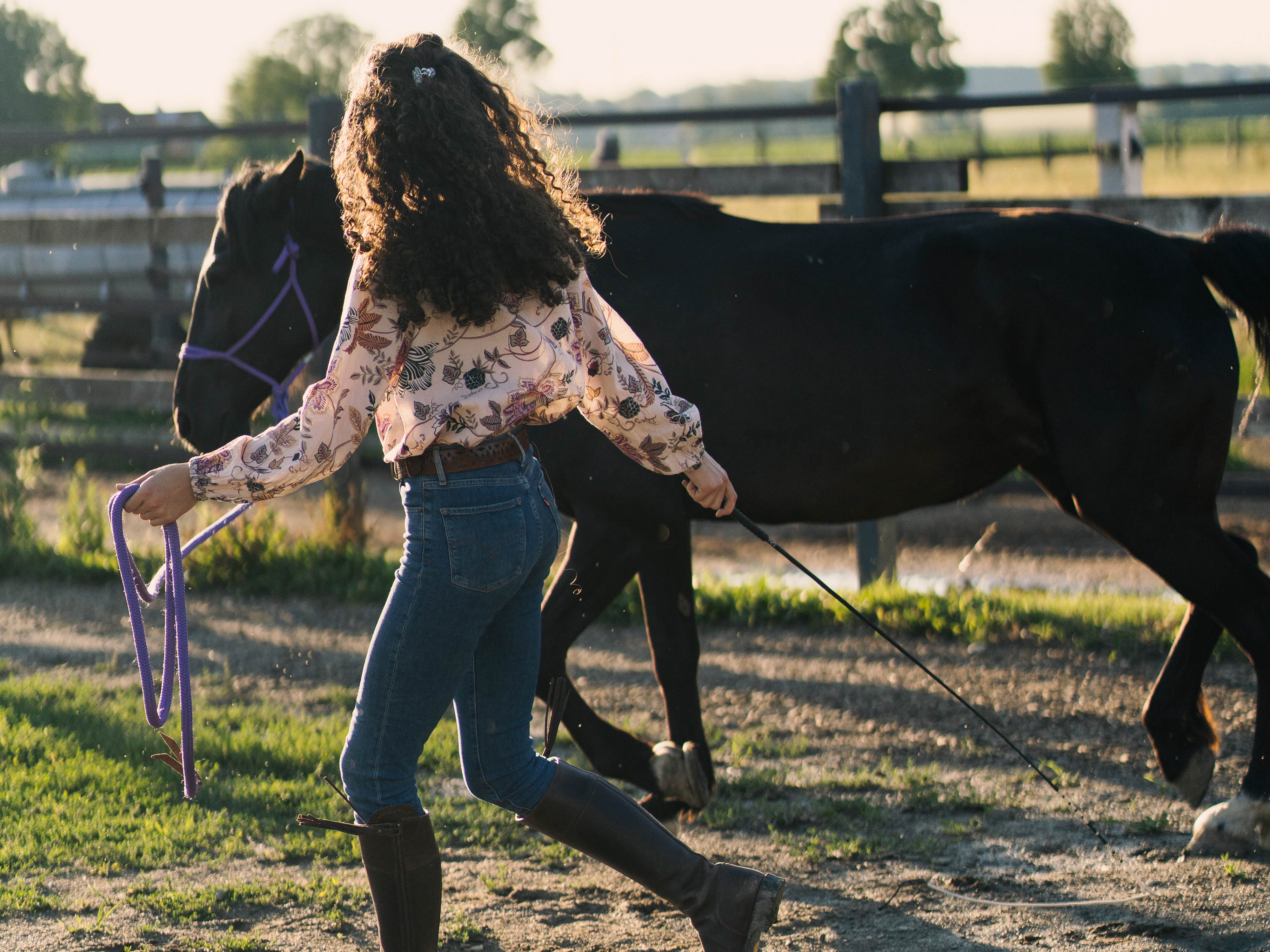 Longieren nach biomechanischen Grundsätzen