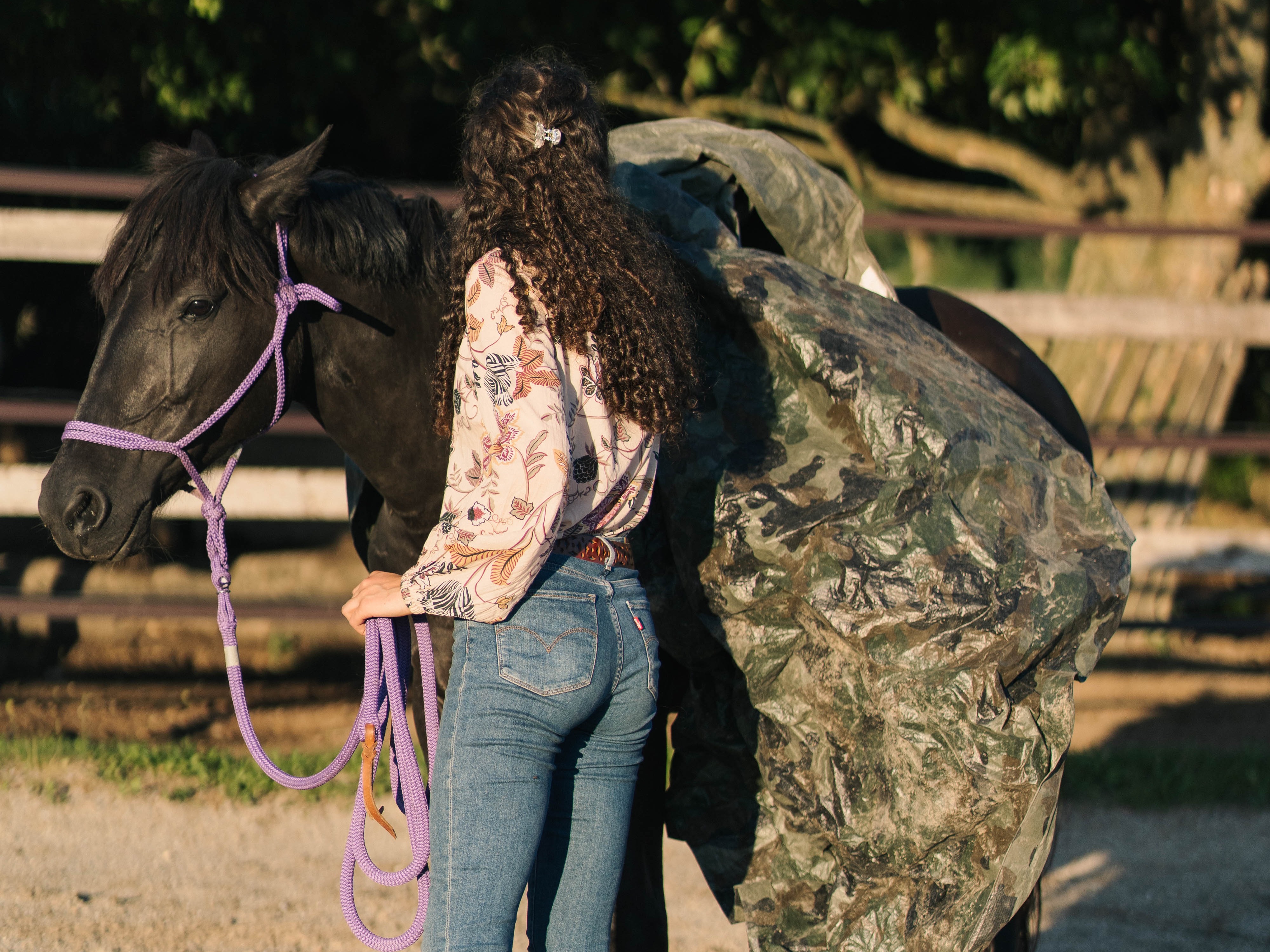Gewöhnung ans Reitergewicht
