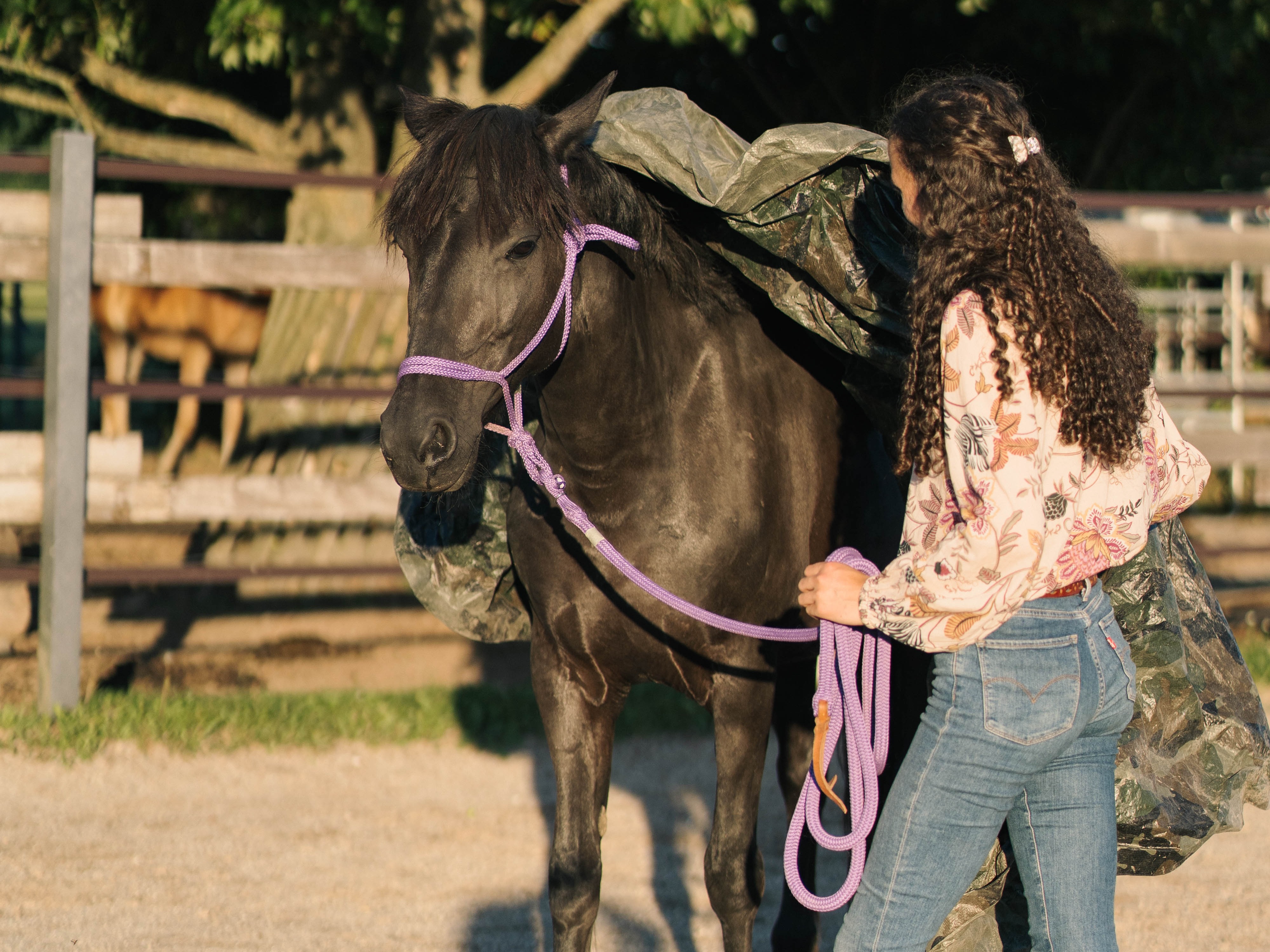 Gewöhnung an den Sattel