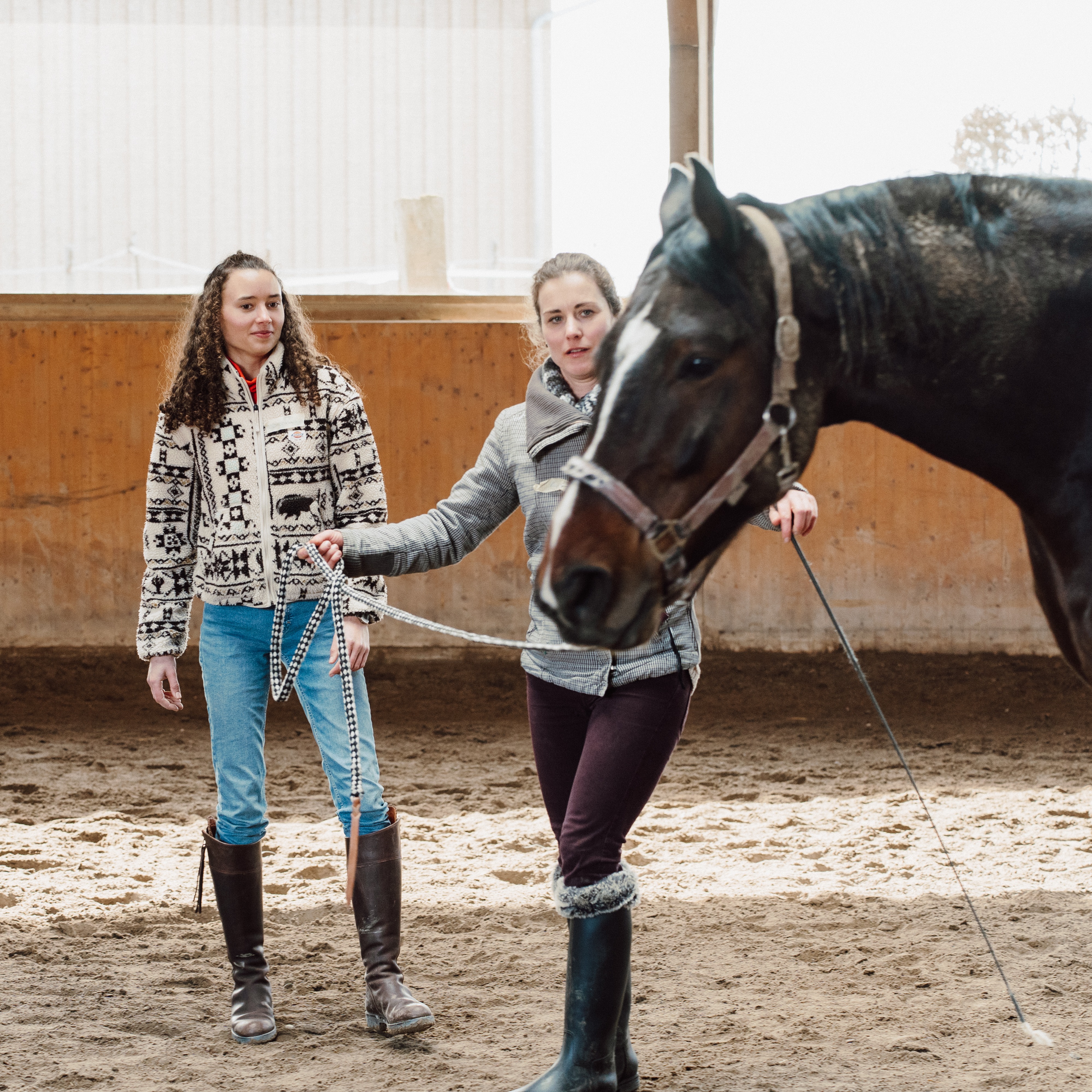 Seminar Bodenarbeit, Hufseminar